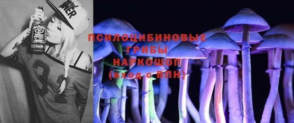 ешки Алексеевка