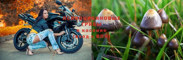 ешки Алексеевка