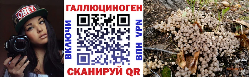 Галлюциногенные грибы Magic Shrooms OMG как зайти Хвалынск